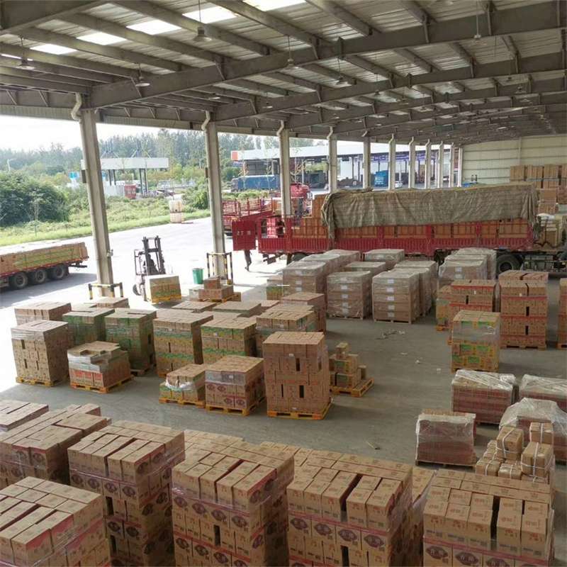 安顺市吉阳区物流：多元服务与运输线路探秘