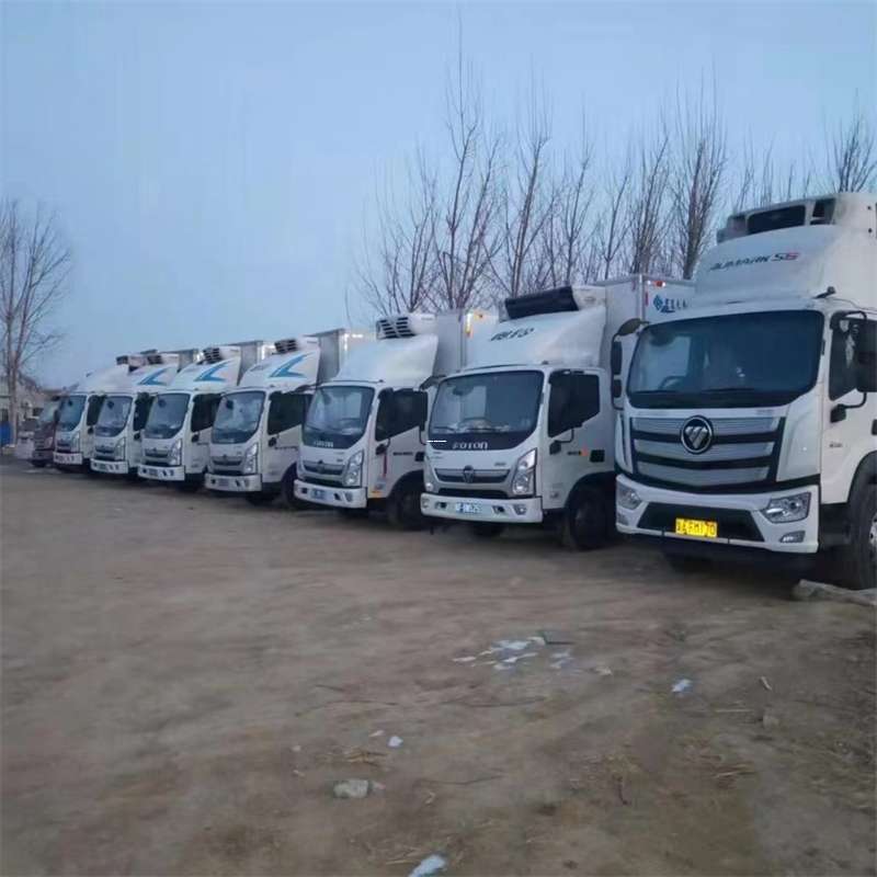 安顺市涟水县物流：多元运输服务与线路探索