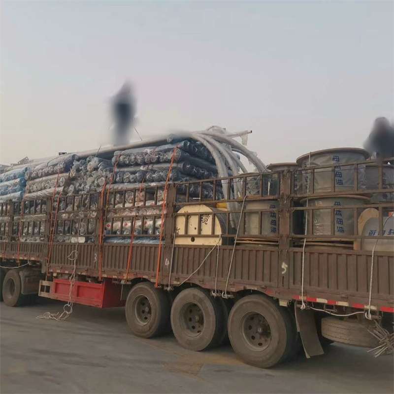 安顺市探索丰林县多元物流运输的奥秘