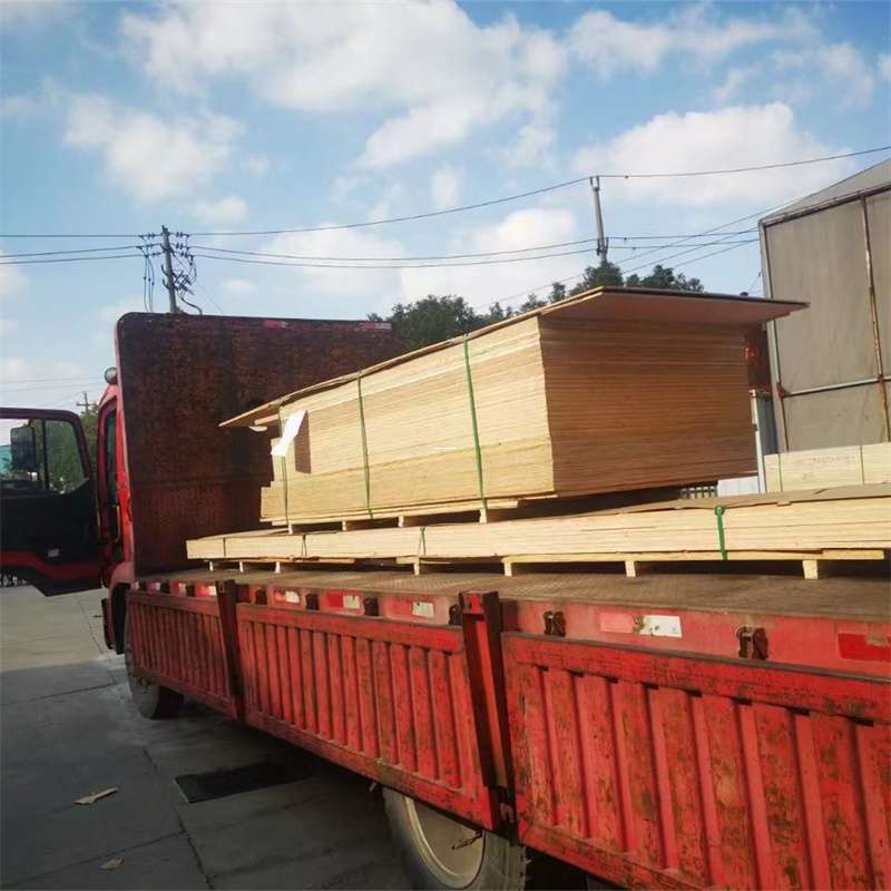 安顺市通化市物流运输：多元服务与高效线路探秘