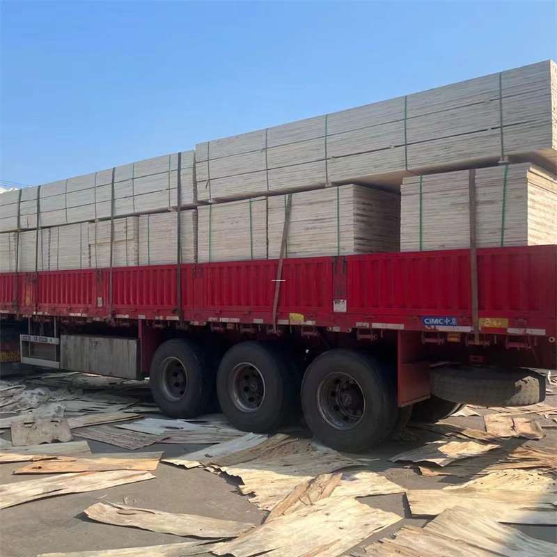 安顺市岑巩县物流：多元服务与高效运输线路探秘