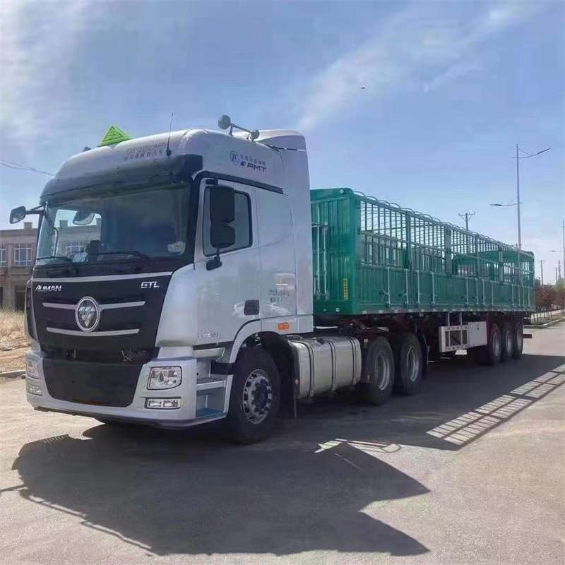 安顺市南木林县：物流专线的高效货运之旅